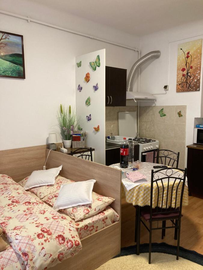 House Centrul Istoric Apartment ซีบิว ภายนอก รูปภาพ